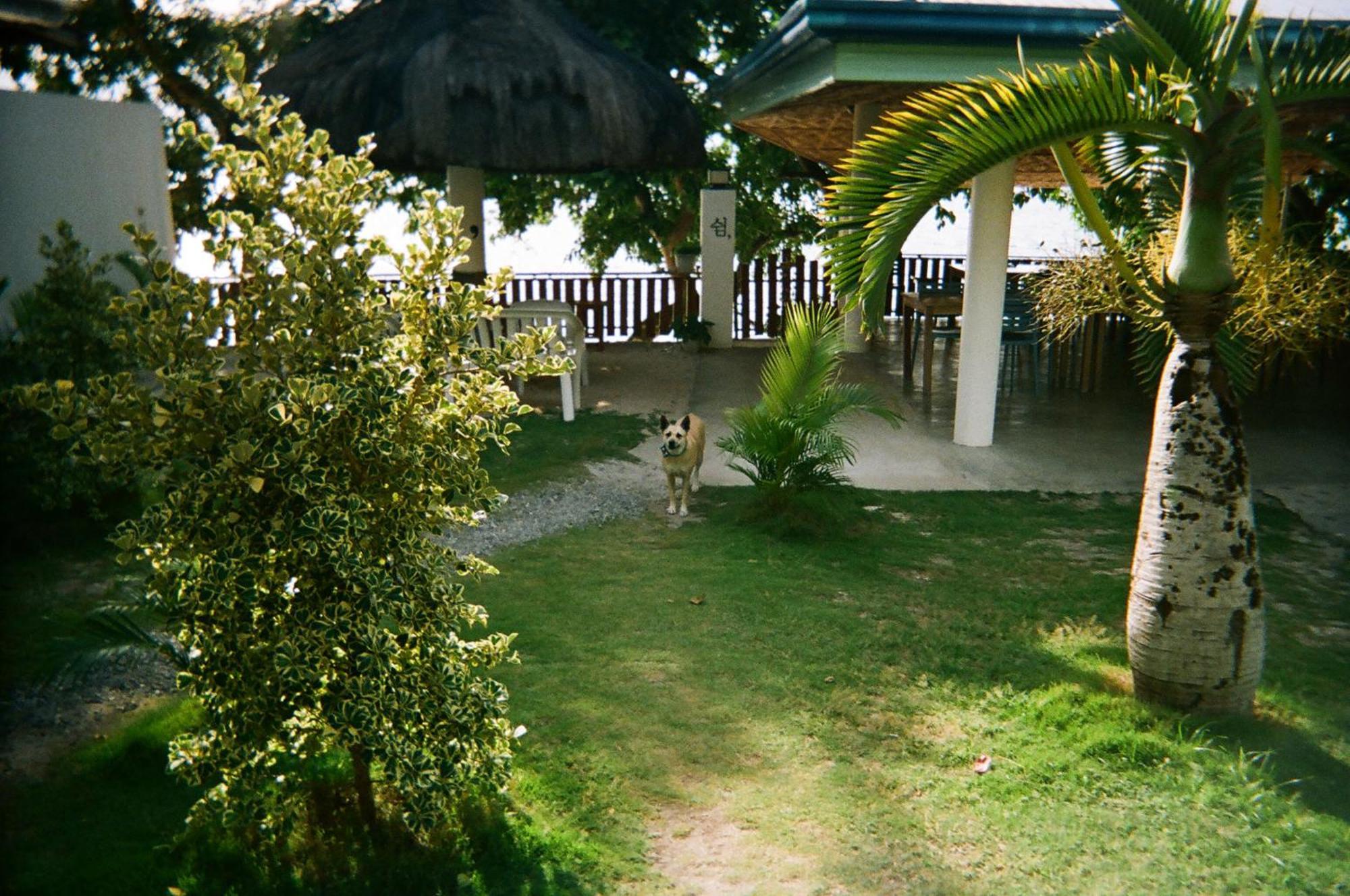 Hotel The Shuim Dive