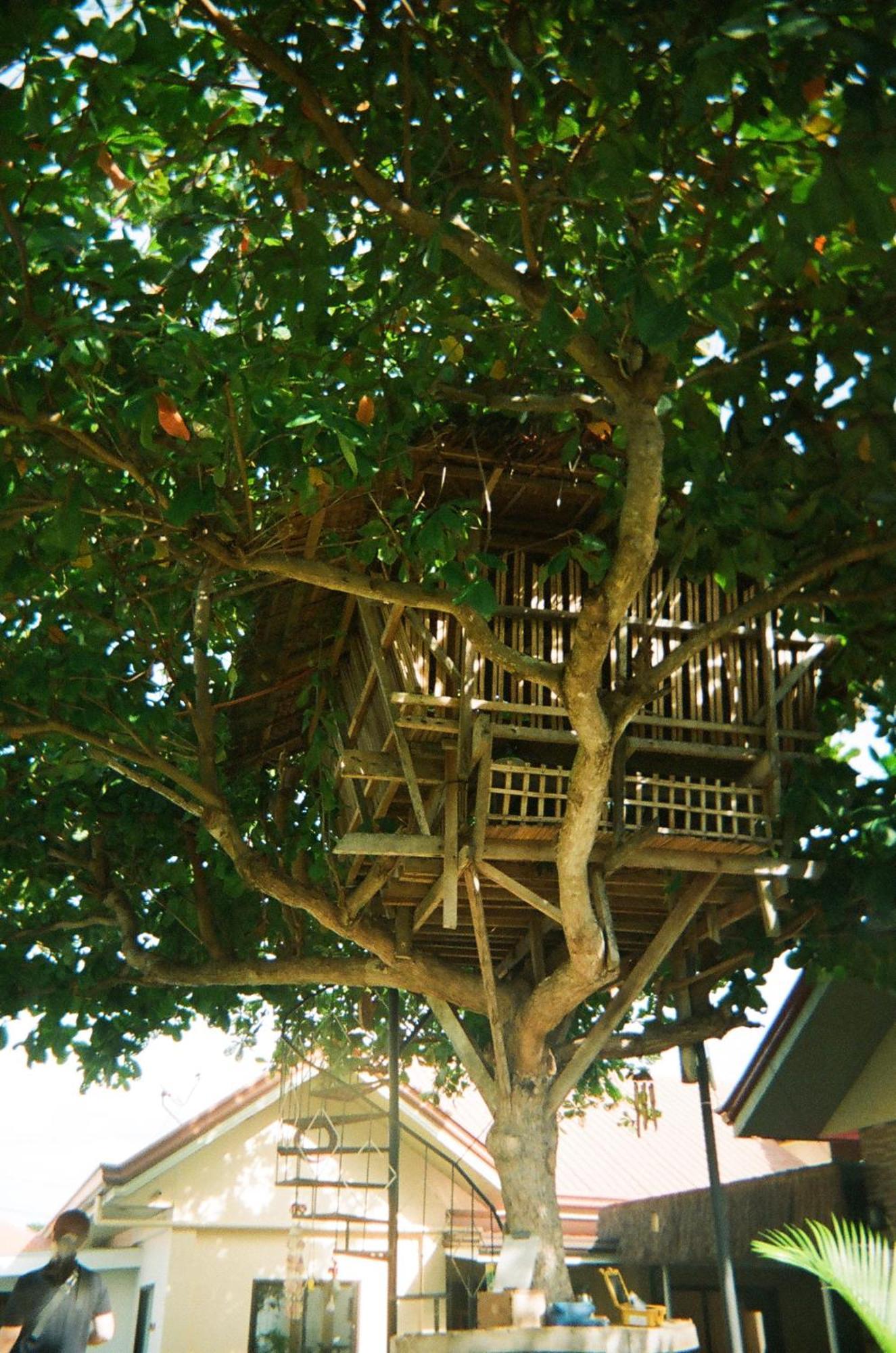 Hotel The Shuim Dive *