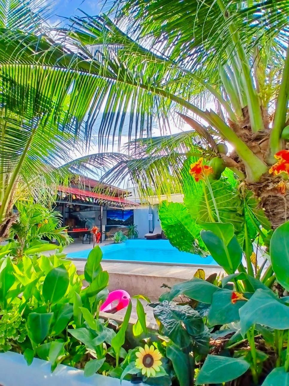 Ananas Guest house