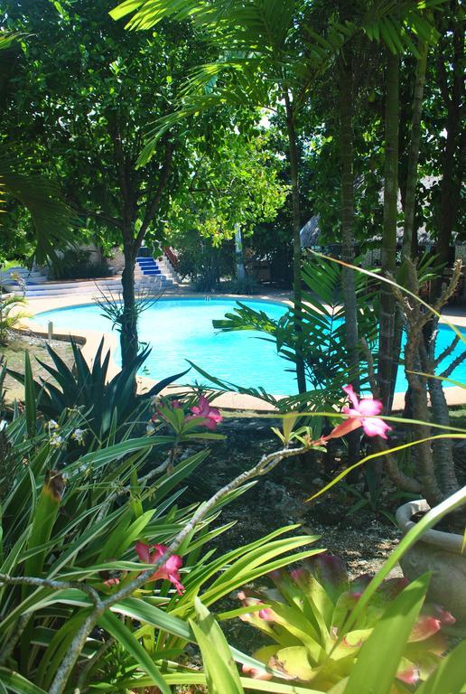 The Blue Orchid Resort