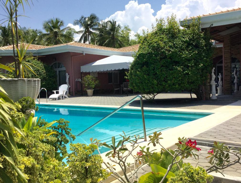 Rosa Cebu 3* Alcoy