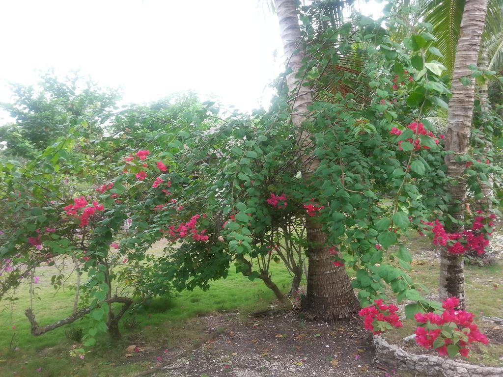 Beach House - Cebu Holiday home Santander