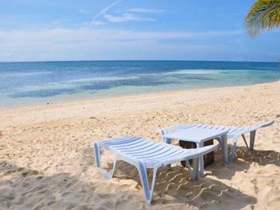 Resort Evolution Dive And Logon