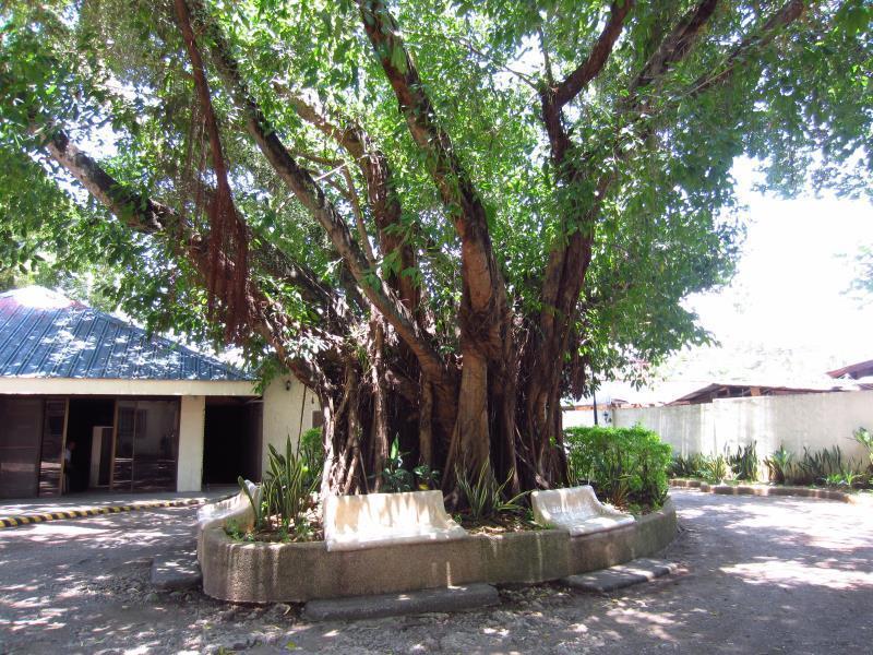 Hotel Park Hill Lapu-Lapu City