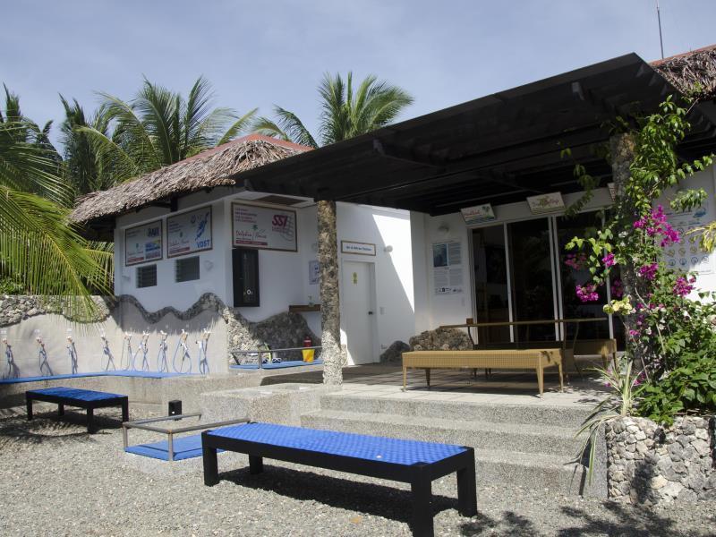 Resort Dolphin House