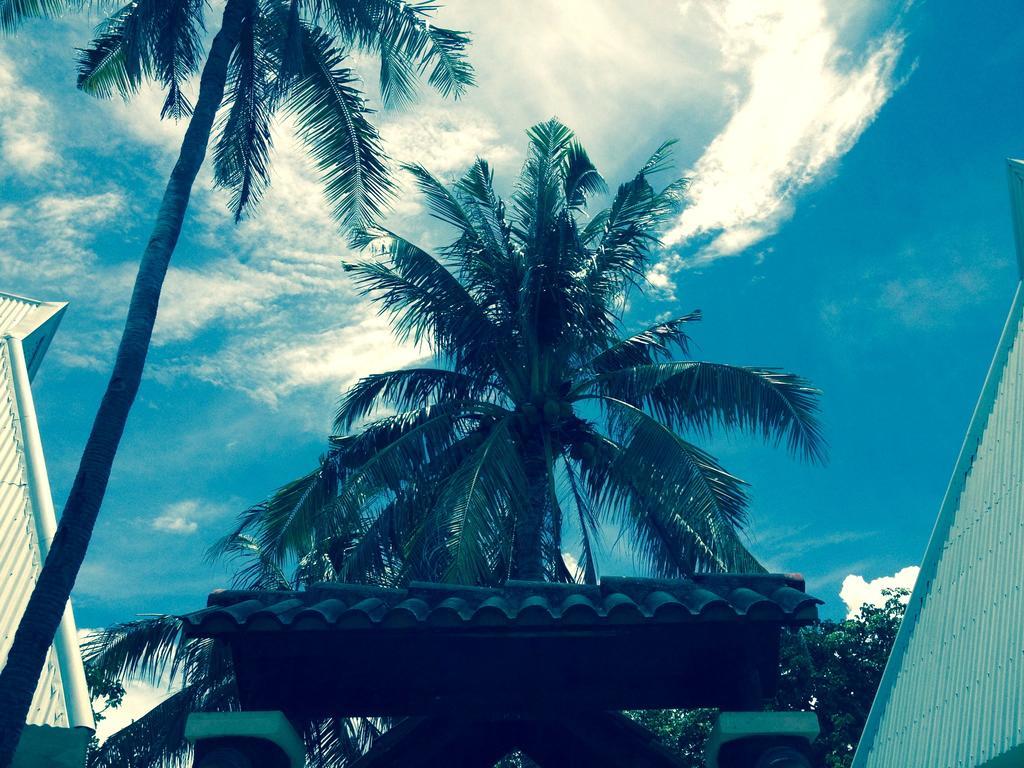 Resort Cordova Reef Village