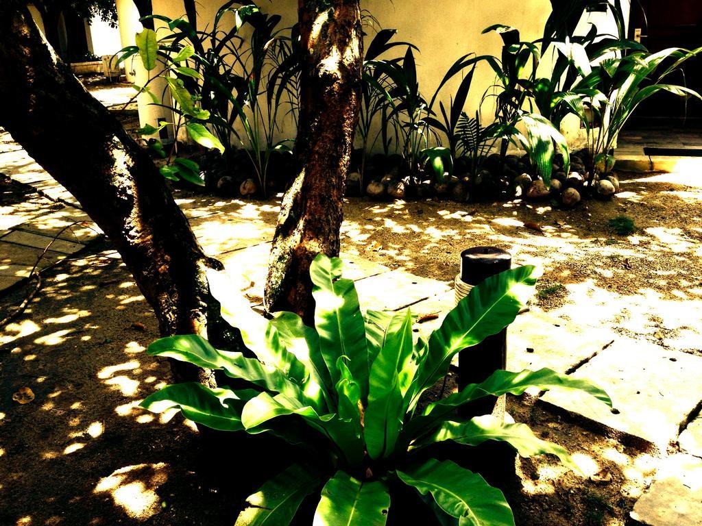 Cordova Reef Village Resort Lapu-Lapu City