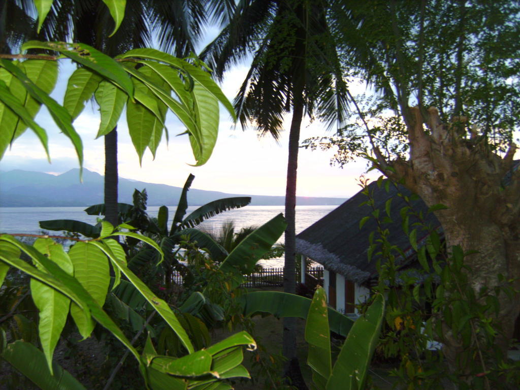 Beach House - Cebu Santander