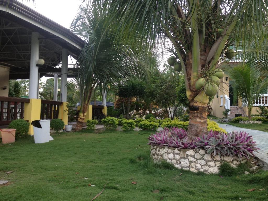 Moalboal Alcantara (Cebu)