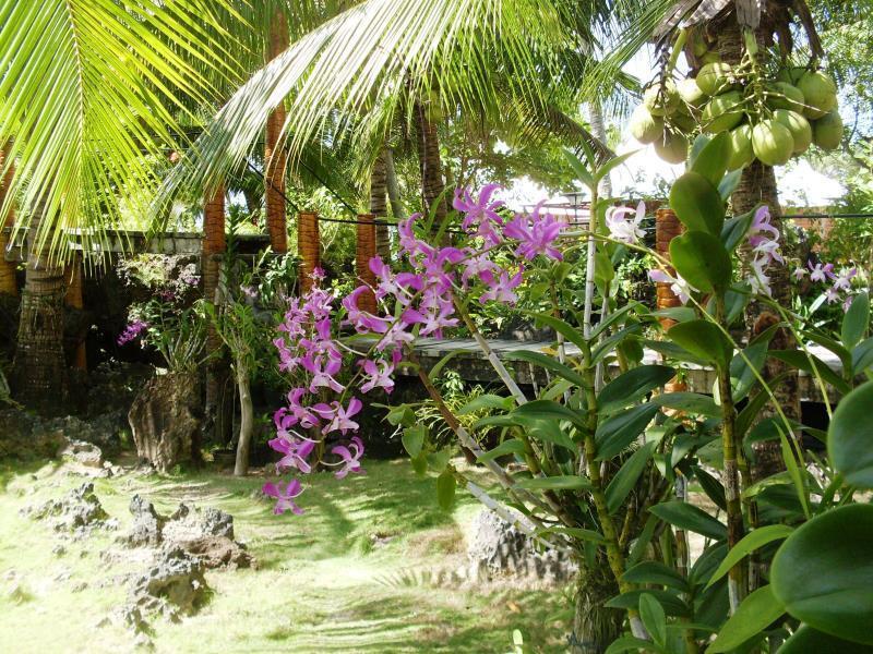 Maia's Maricaban