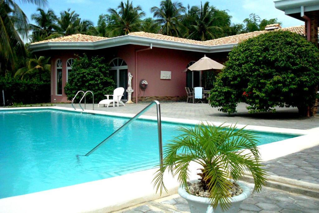 Rosa Cebu 3* Alcoy