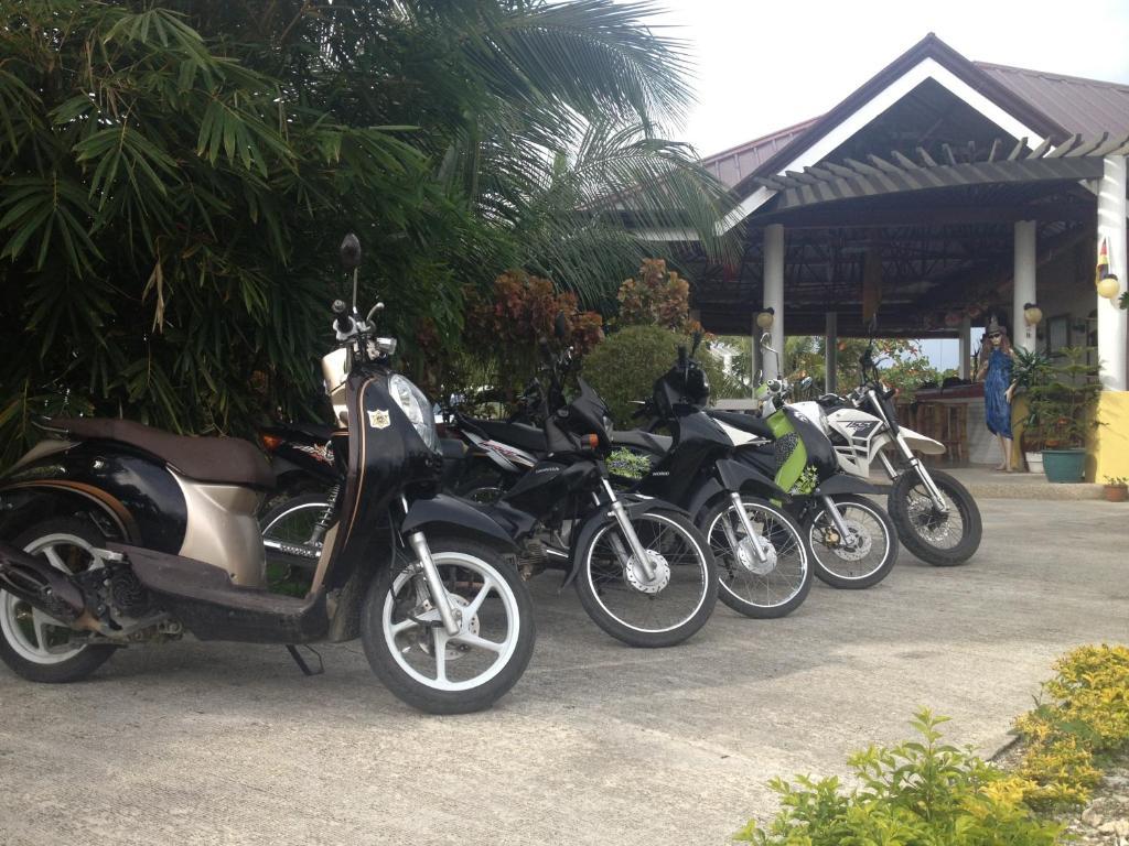 Moalboal 3* Alcantara (Cebu)
