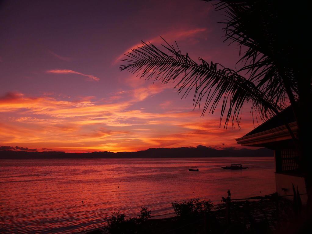 Quo Vadis Dive Resort 3*