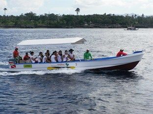 Resort Dolphin House Moalboal