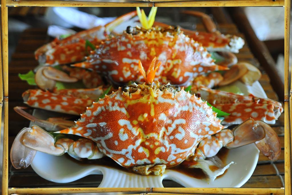 The Coral Blue Oriental And 3*