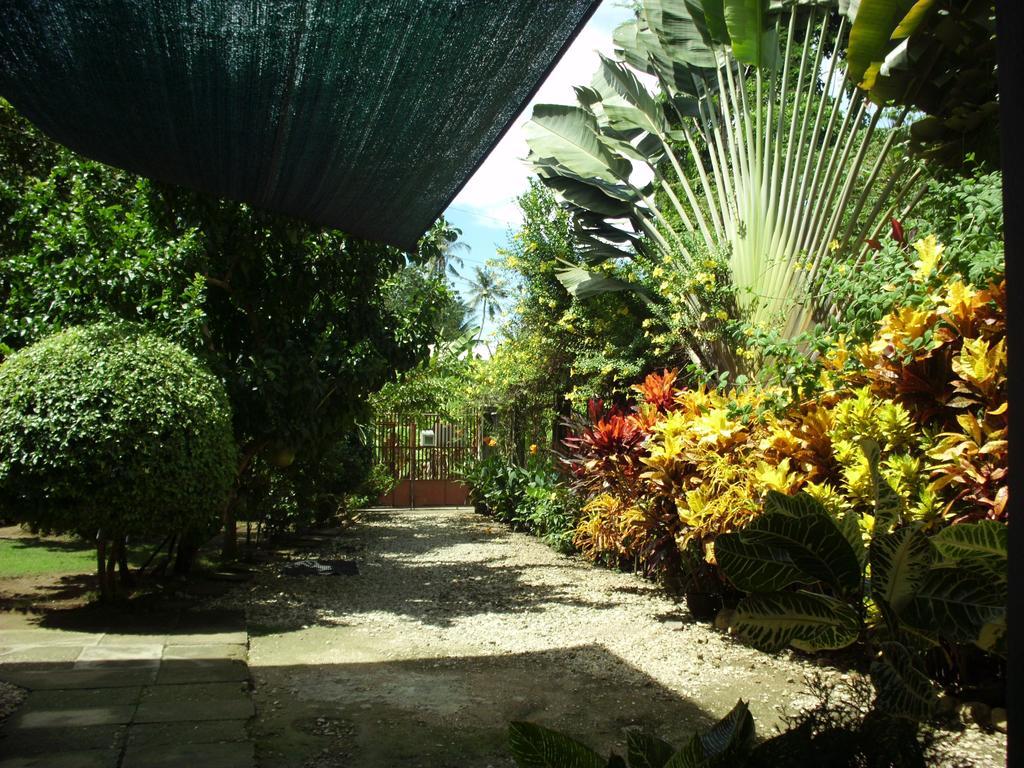 Casa Amigo Guest house 2*