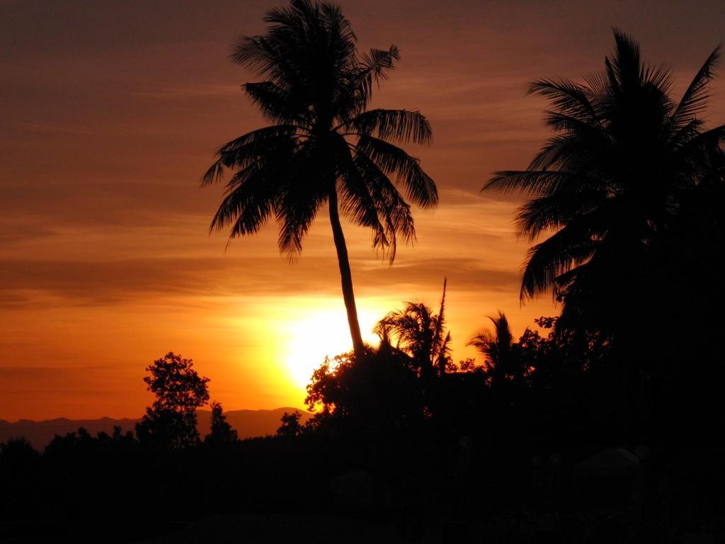 Resort Island Wellness Badian