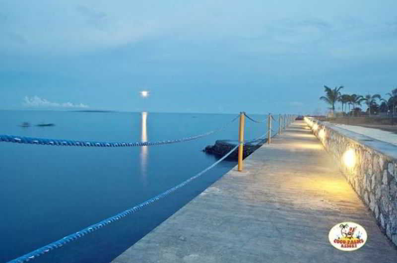 Resort Danao Coco Palms 3*