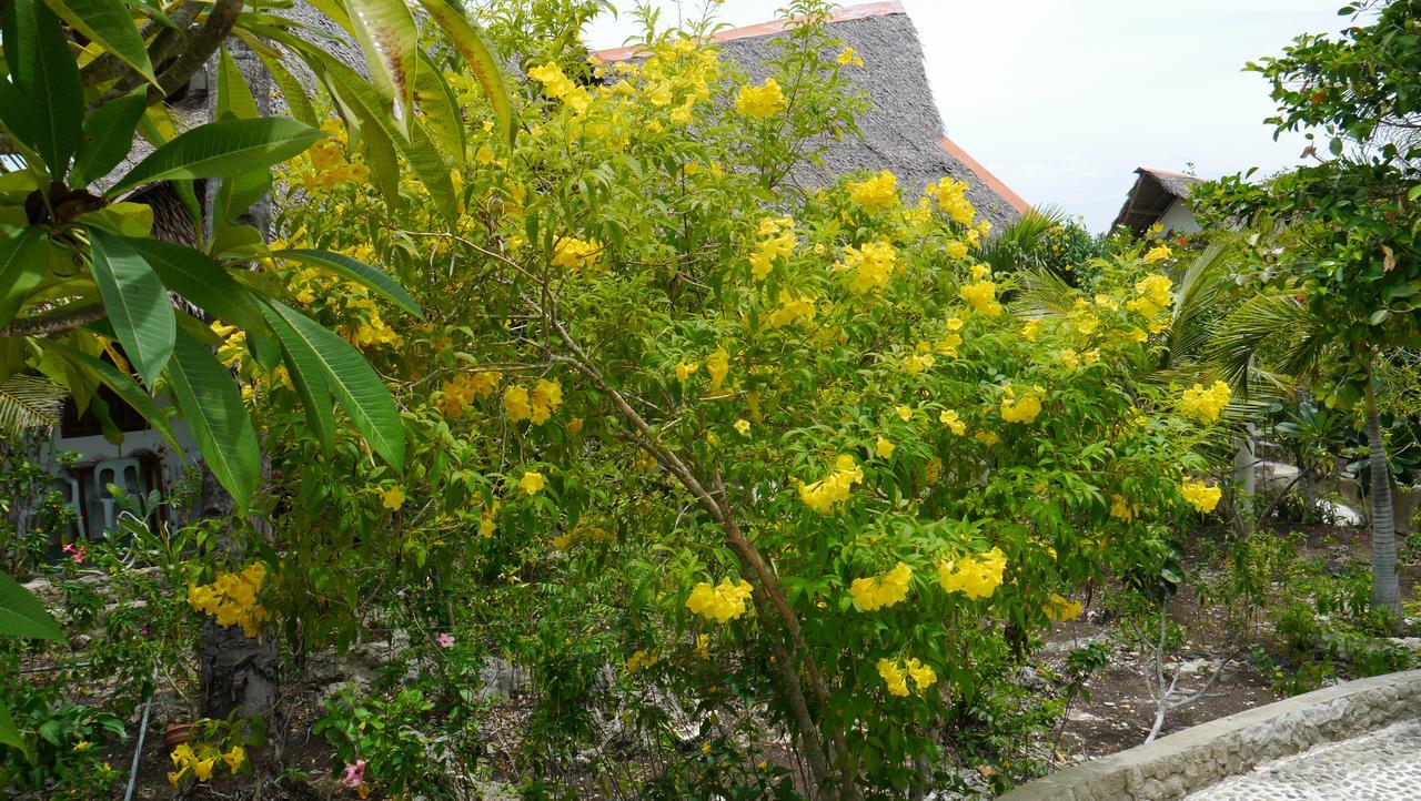 T Breeze Coastal Resort