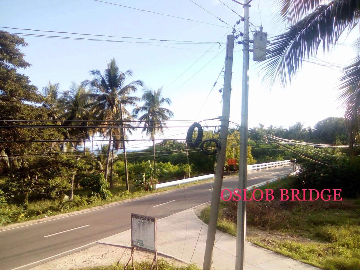 Rising Sun House Oslob
