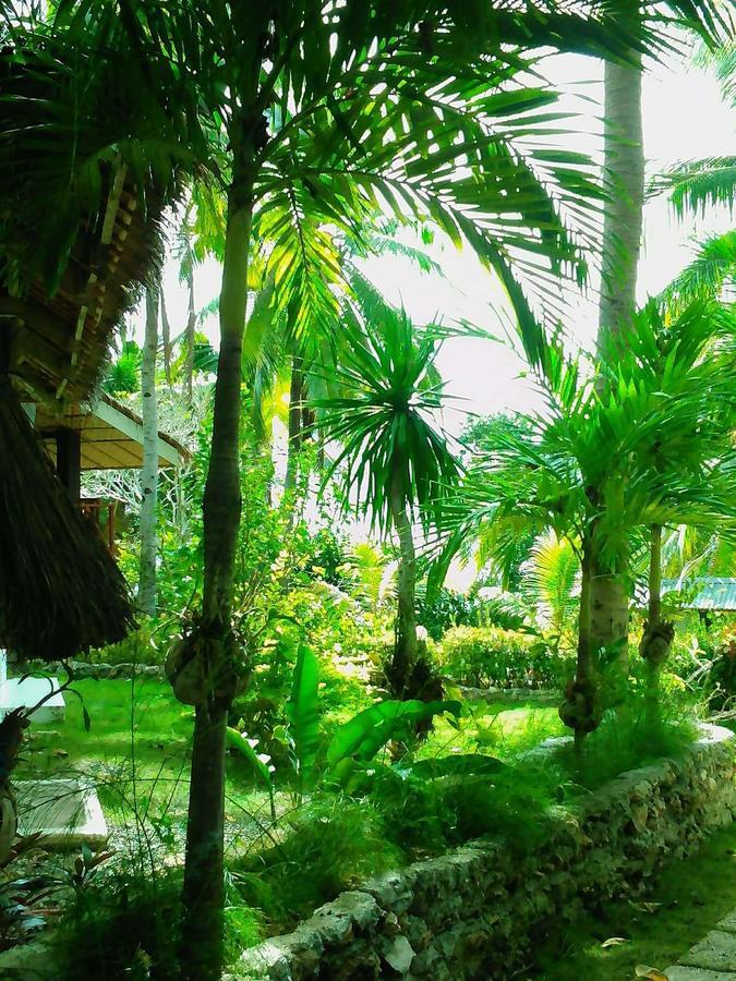 Allba's Casa de hóspedes *