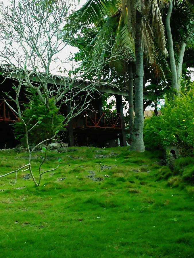 Allba's Moalboal