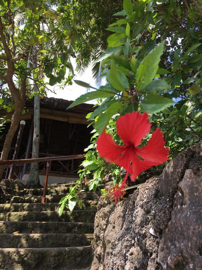 Casa de hóspedes Allba's Moalboal