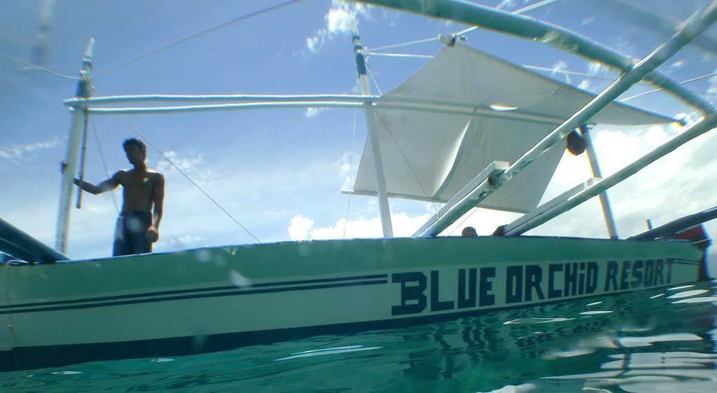Resort The Blue Orchid Moalboal