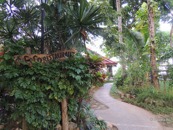 Elsalvador Resort