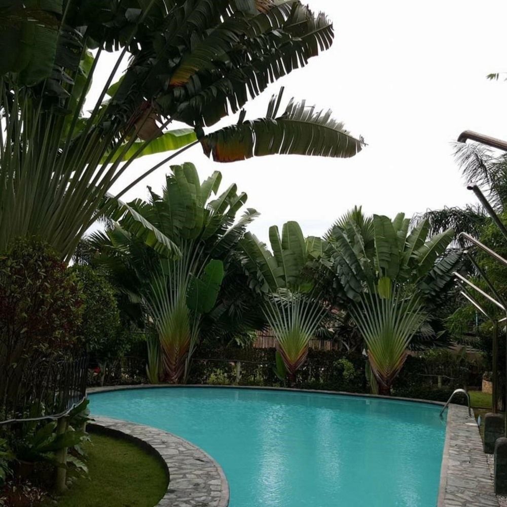 Mactan Breeze - Airport 2* Lapu-Lapu City