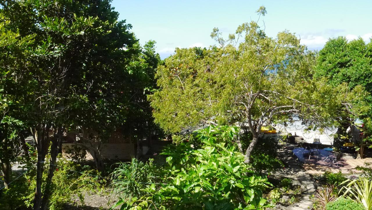 T Breeze Coastal Moalboal
