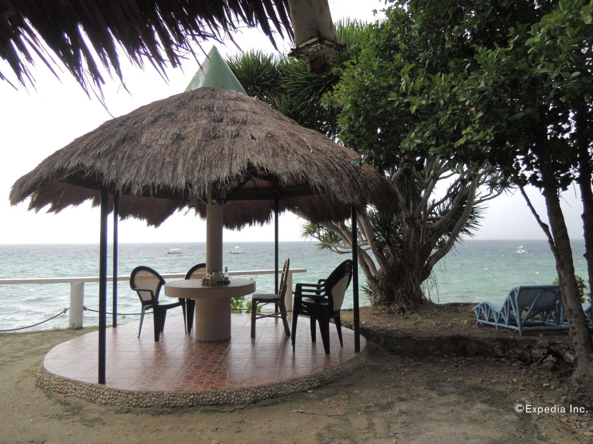 Asian Belgian Dive Resort Moalboal