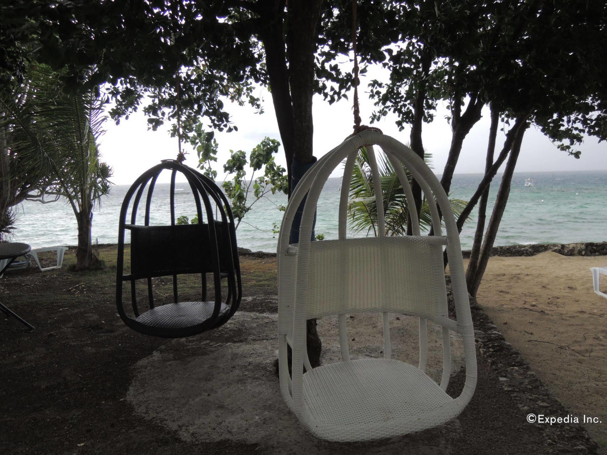 Asian Belgian Dive Resort Moalboal