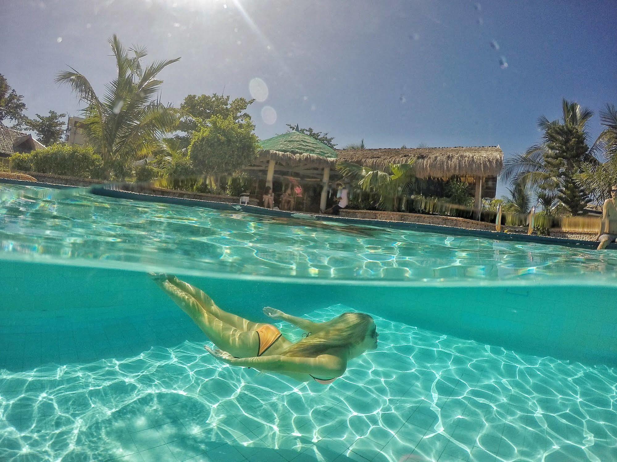 Thresher Cove Dive Resort Logon