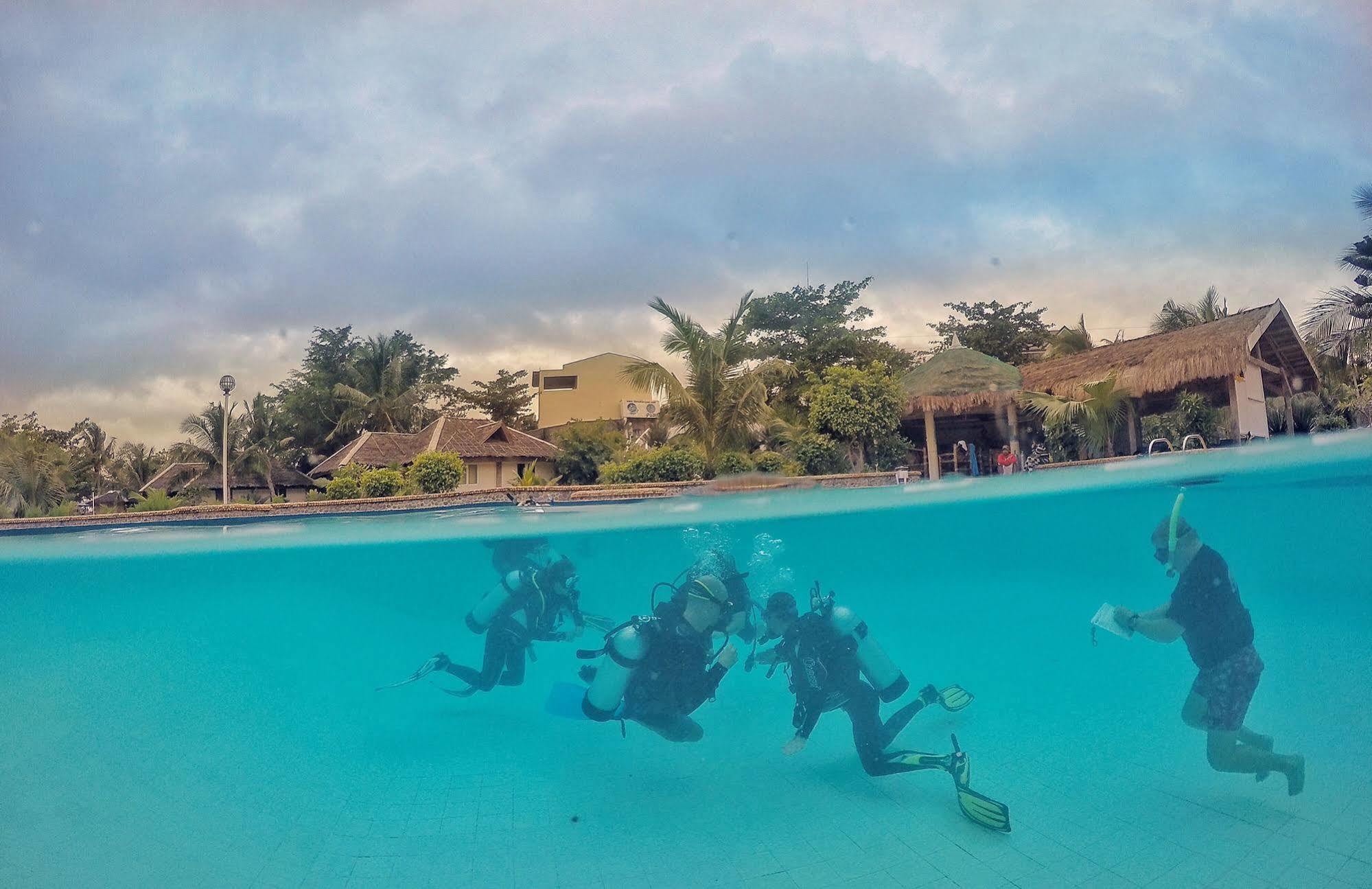 Thresher Cove Dive 3* Logon