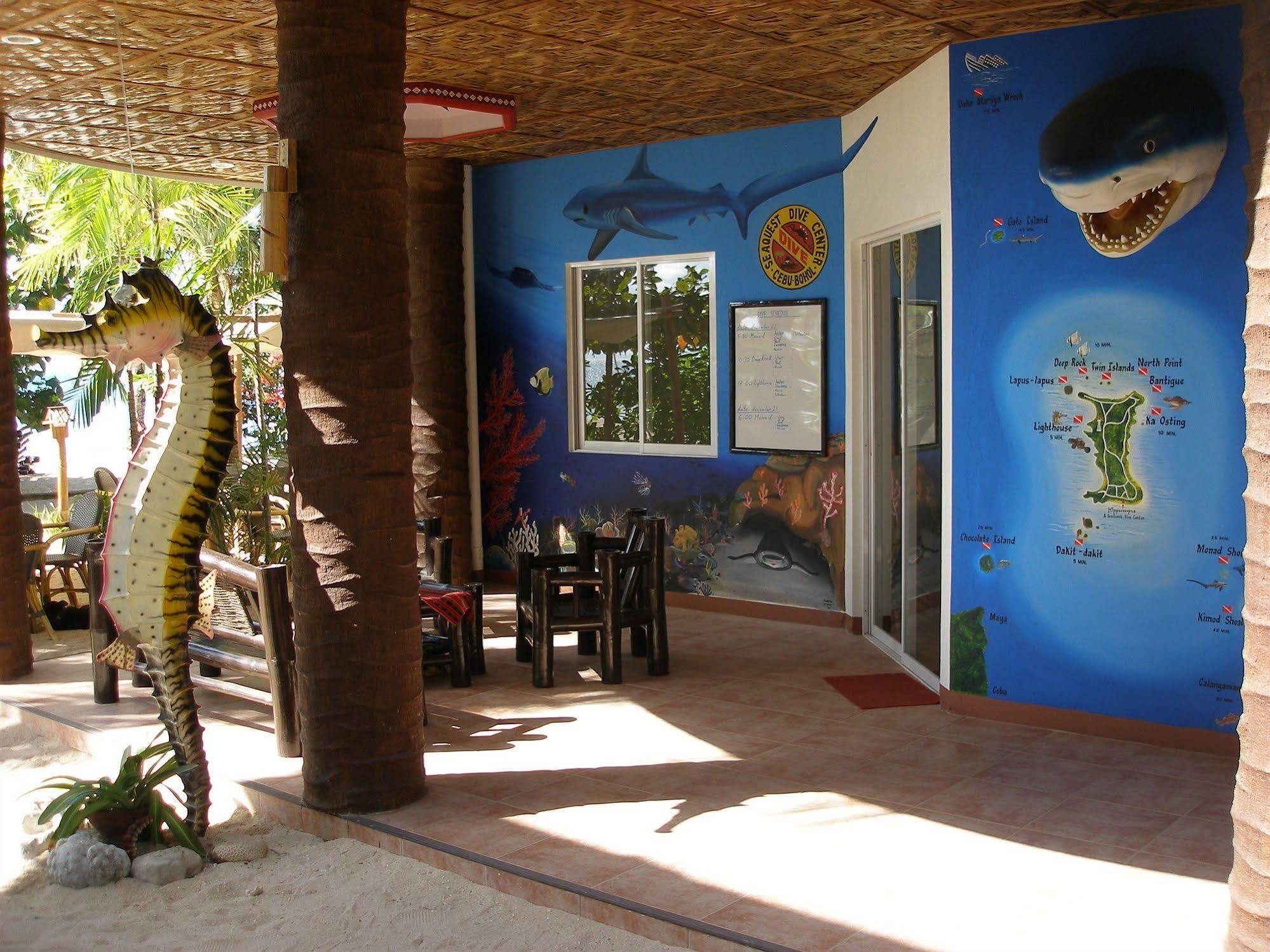 Hippocampus
