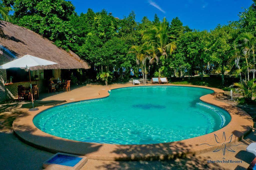 Resort The Blue Orchid