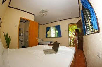 Evolution Dive And Resort Logon