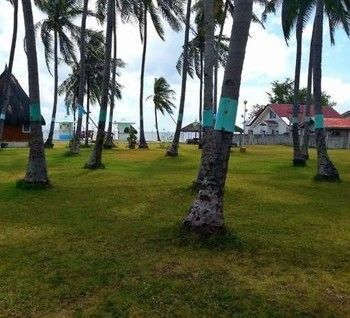 Hotel King Arthur's Place 2*