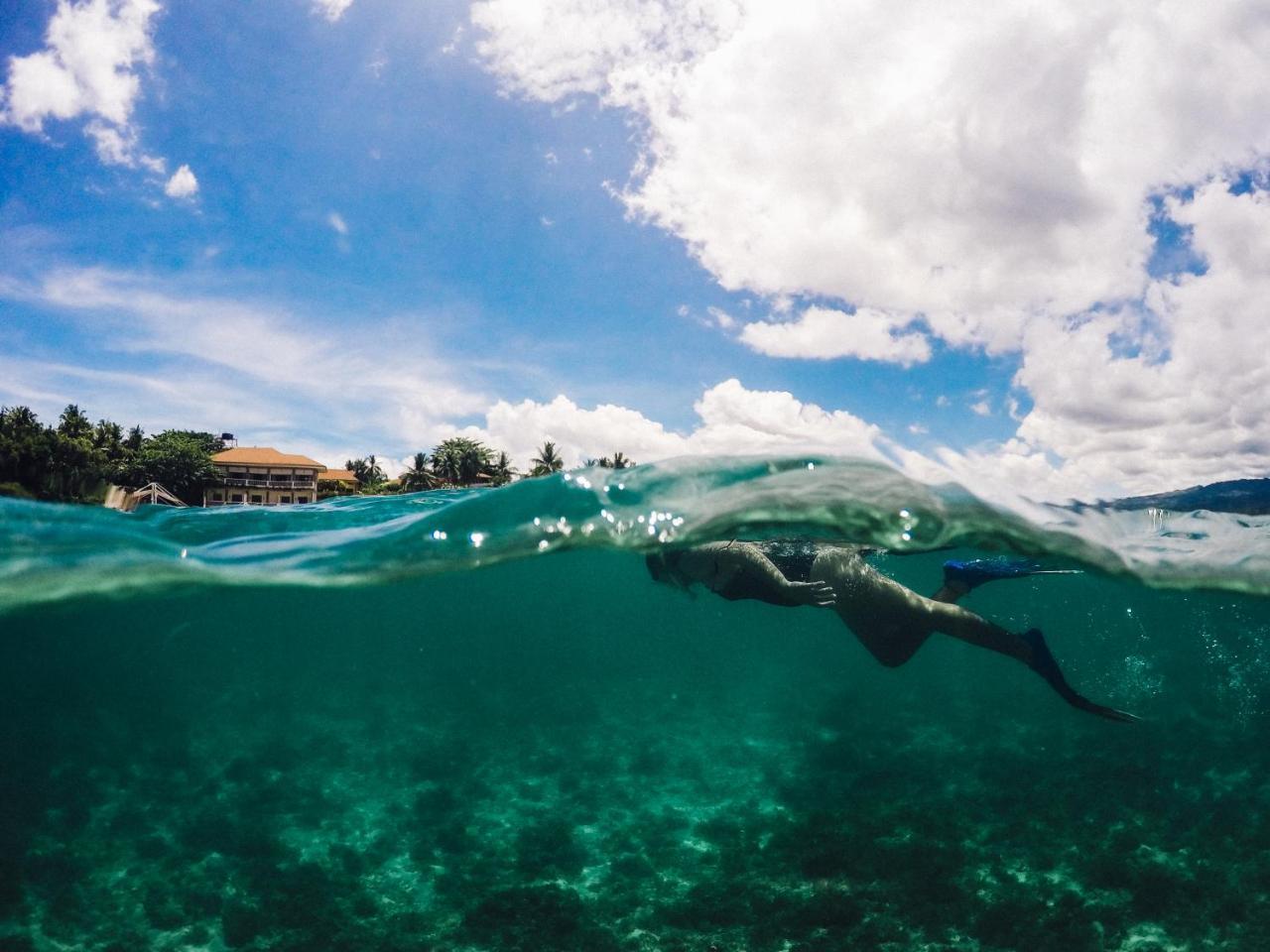 Turtle Bay Dive Resort Moalboal