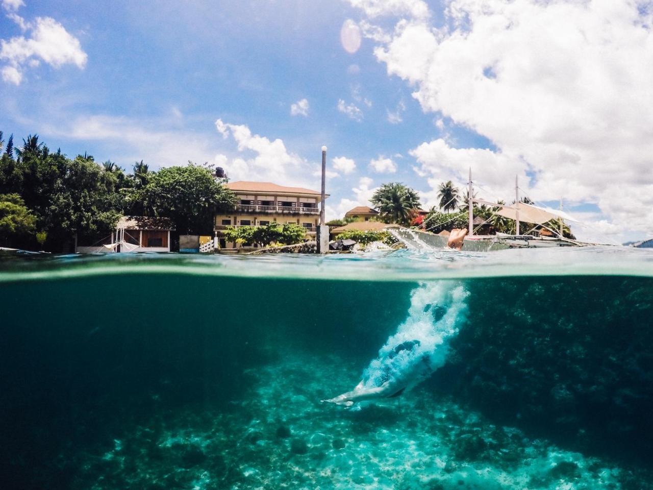 Resort Turtle Bay Dive Moalboal