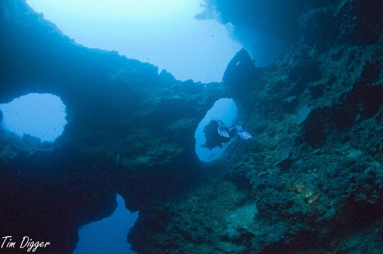Turtle Bay Dive 4* Moalboal