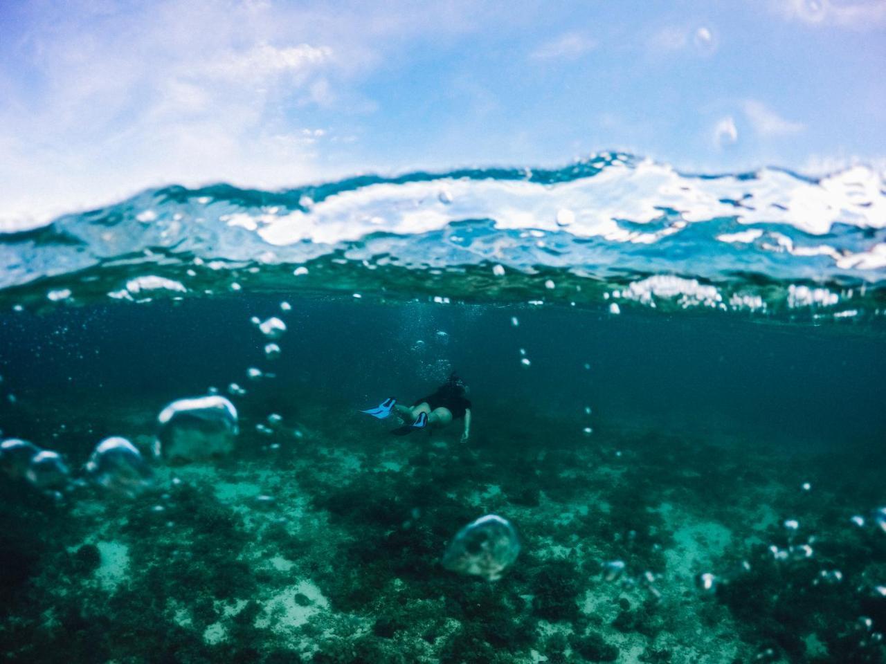 Resort Turtle Bay Dive Moalboal