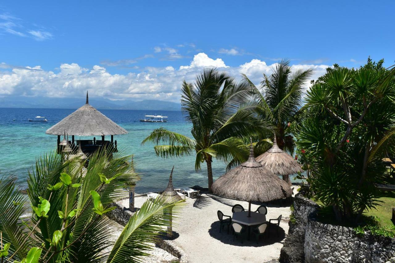 Resort Dolphin House