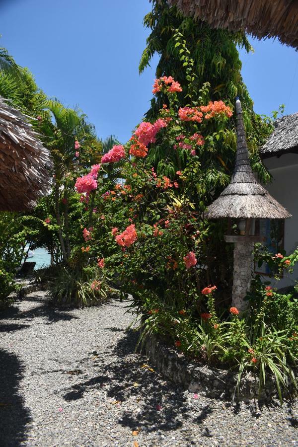 Dolphin House Resort Moalboal
