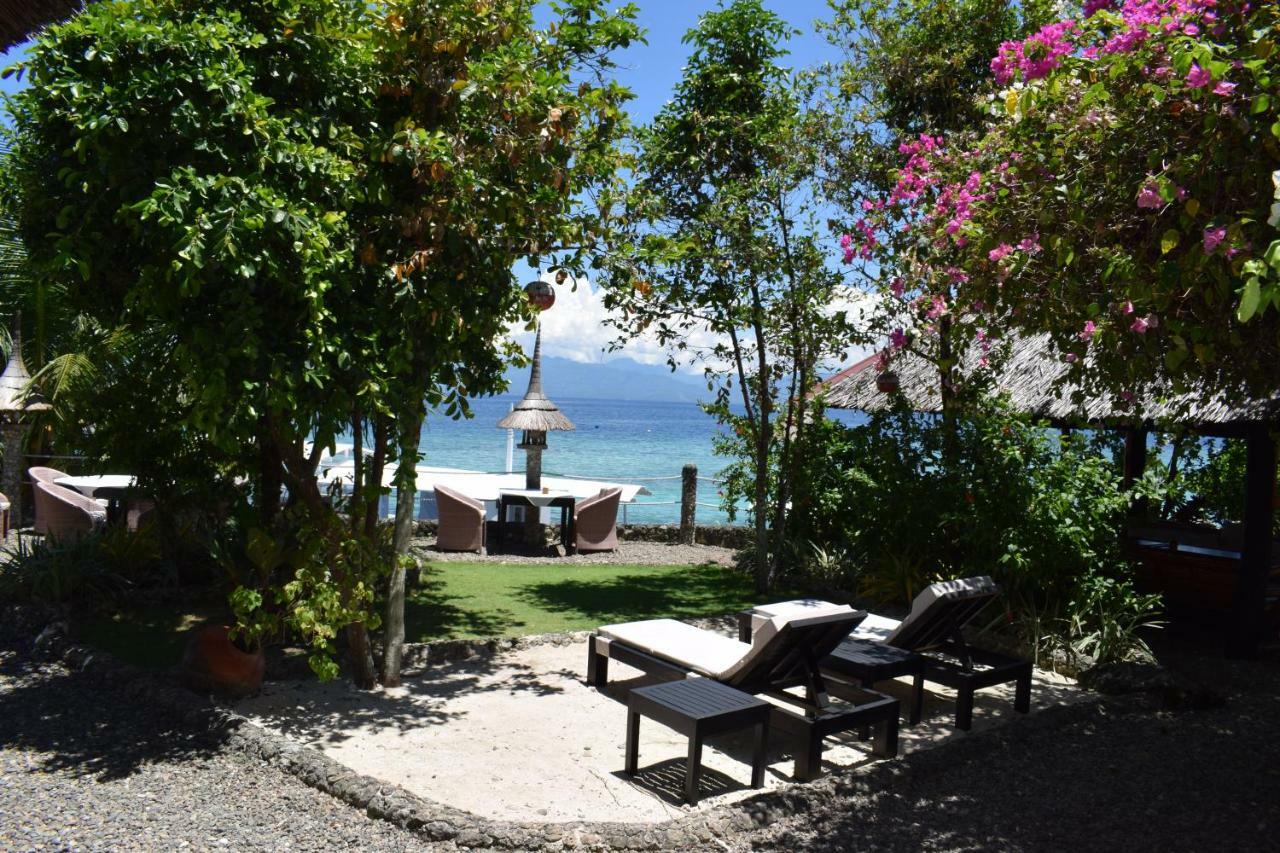 Dolphin House Moalboal