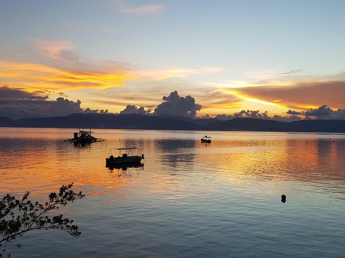 Dolphin House Moalboal