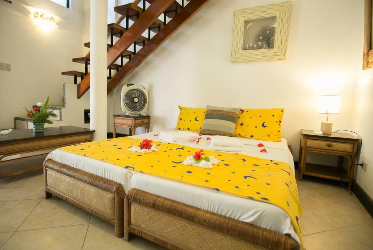 Dolphin House 5* Moalboal