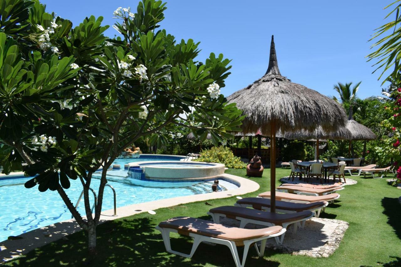 Dolphin House 5* Moalboal