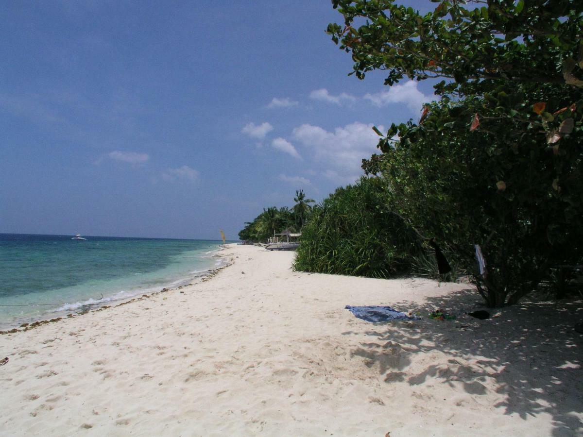 Resort Dolphin House 5*